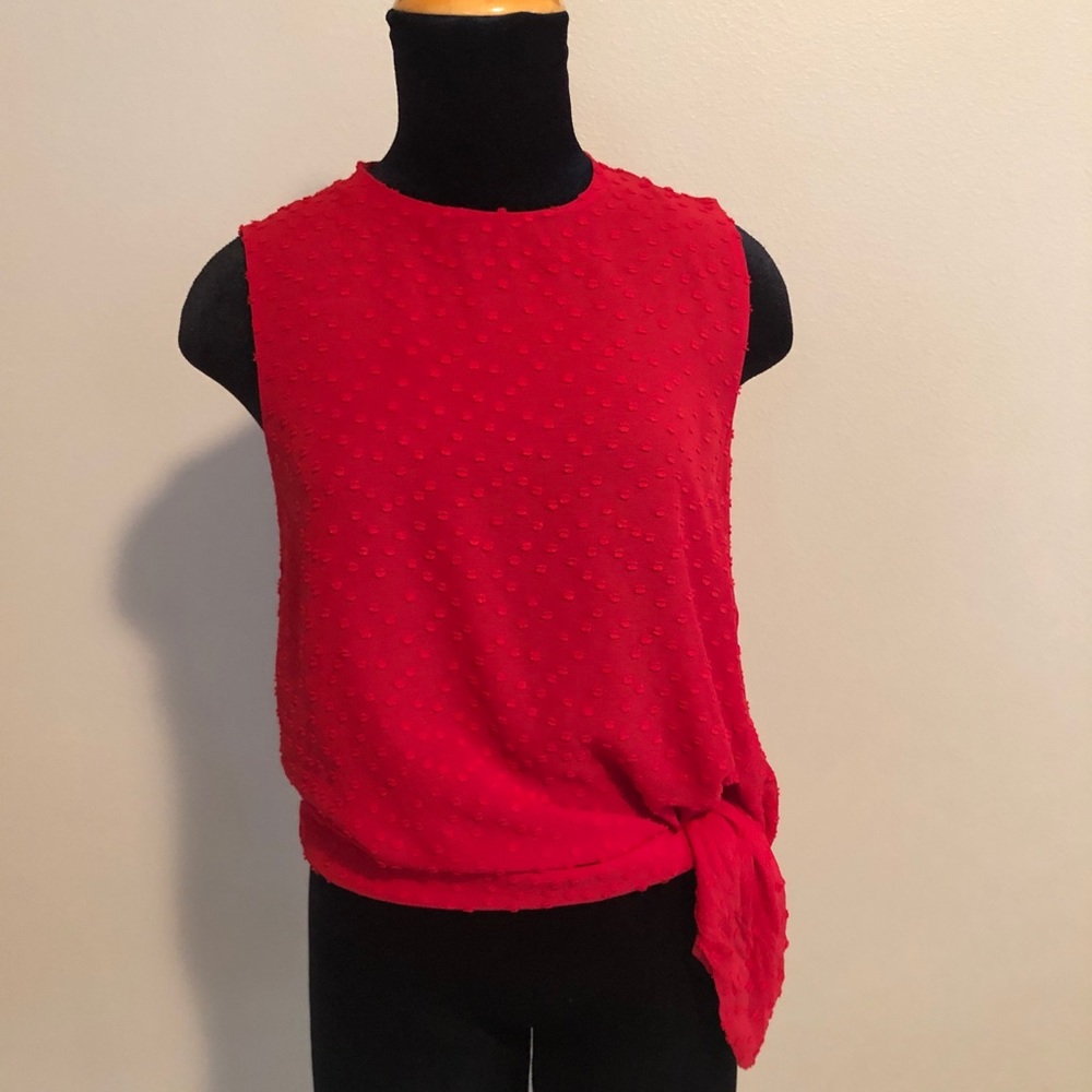 Aritzia Babaton Hopkins red Swiss dot tank top blouse